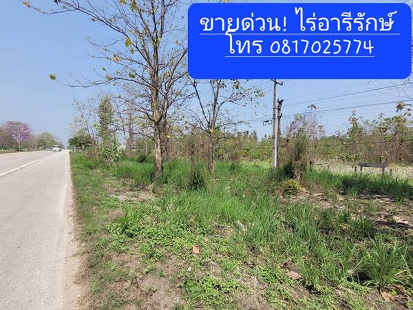 ขายด่วน! ที่ดินติดถนนซุปเปอร์ เชียงใหม่ ลำปาง (เจ้าของขายเอง) ขายด่วนก่อนจะขึ้นราคา